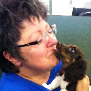 Meet your Posher, Crystal